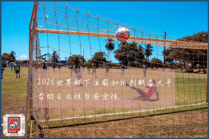 2026世界杯下注前如何判断各大平台的合法性与安全性