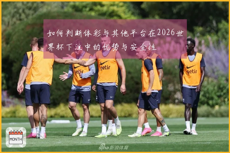 如何判断体彩与其他平台在2026世界杯下注中的优势与安全性