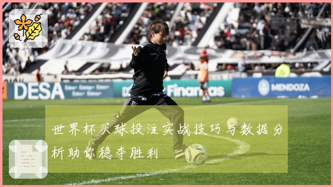 世界杯买球投注实战技巧与数据分析助你稳夺胜利