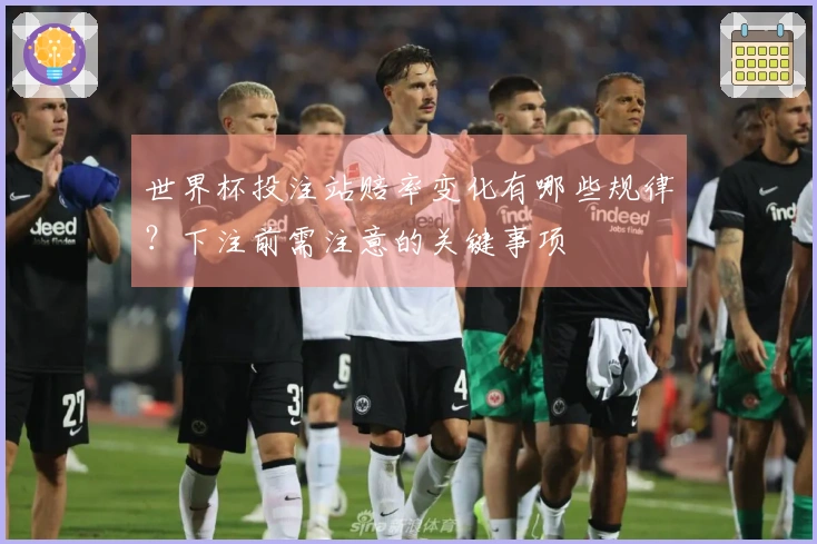 世界杯投注站赔率变化有哪些规律？下注前需注意的关键事项