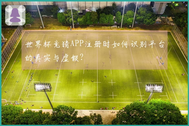 世界杯竞猜APP注册时如何识别平台的真实与虚假？