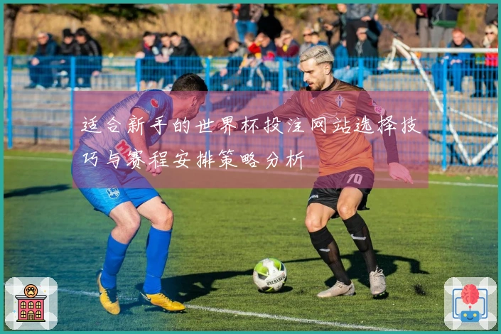适合新手的世界杯投注网站选择技巧与赛程安排策略分析