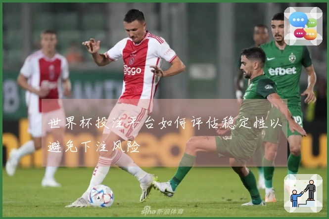 世界杯投注平台如何评估稳定性以避免下注风险