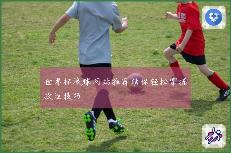 世界杯滚球网站推荐助你轻松掌握投注技巧