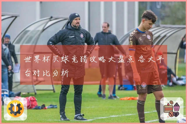 世界杯买球竞猜攻略大盘点 各大平台对比分析