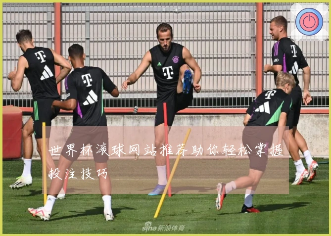 世界杯滚球网站推荐助你轻松掌握投注技巧