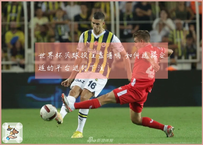 世界杯买球投注靠谱吗 如何选择合适的平台进行下注