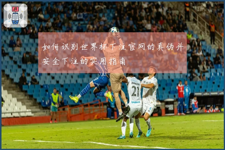 如何识别世界杯下注官网的真伪并安全下注的实用指南