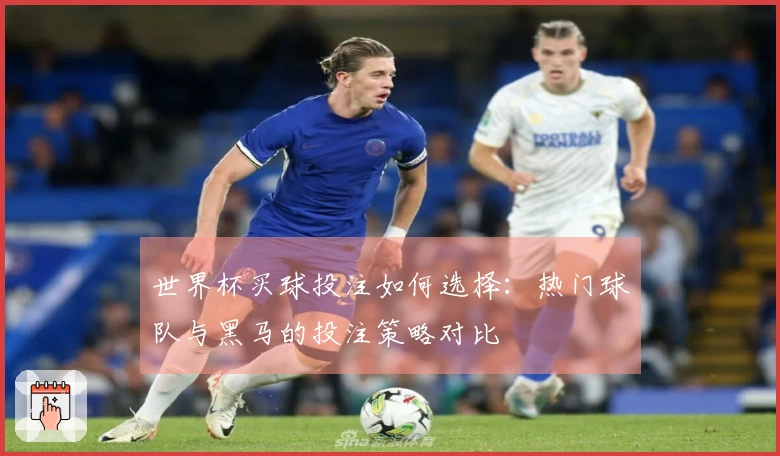 世界杯买球投注如何选择：热门球队与黑马的投注策略对比