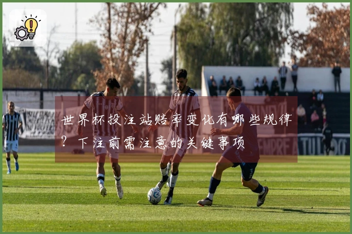 世界杯投注站赔率变化有哪些规律？下注前需注意的关键事项