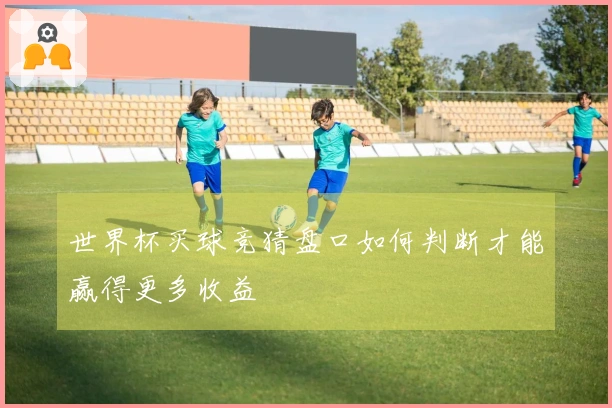 世界杯买球竞猜盘口如何判断才能赢得更多收益