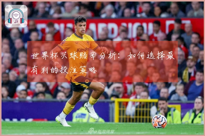 世界杯买球赔率分析：如何选择最有利的投注策略