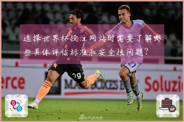 选择世界杯投注网站时需要了解哪些具体评估标准和安全性问题？