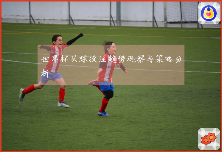 世界杯买球投注趋势观察与策略分析