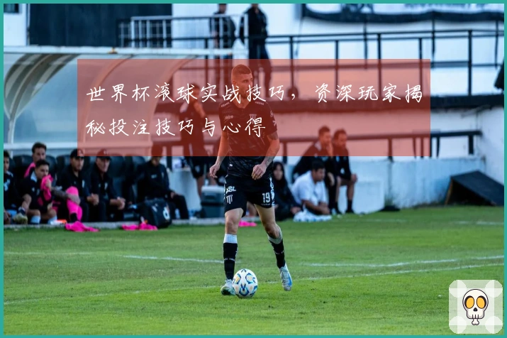 世界杯滚球实战技巧，资深玩家揭秘投注技巧与心得