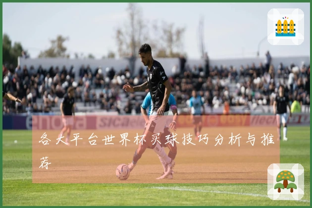 各大平台世界杯买球技巧分析与推荐