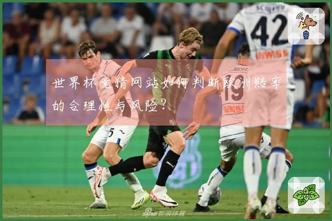 世界杯竞猜网站如何判断欧洲赔率的合理性与风险？