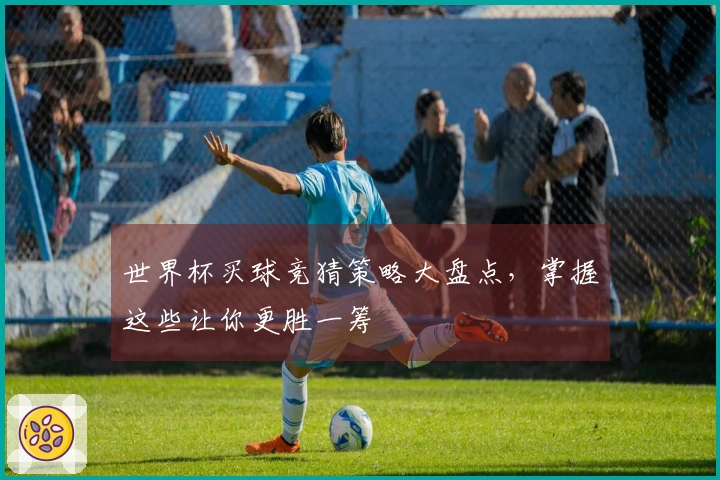 世界杯买球竞猜策略大盘点，掌握这些让你更胜一筹