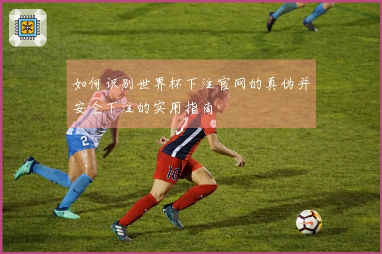 如何识别世界杯下注官网的真伪并安全下注的实用指南