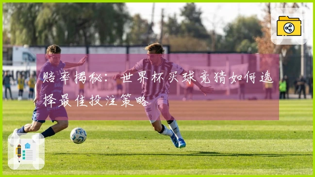 赔率揭秘：世界杯买球竞猜如何选择最佳投注策略