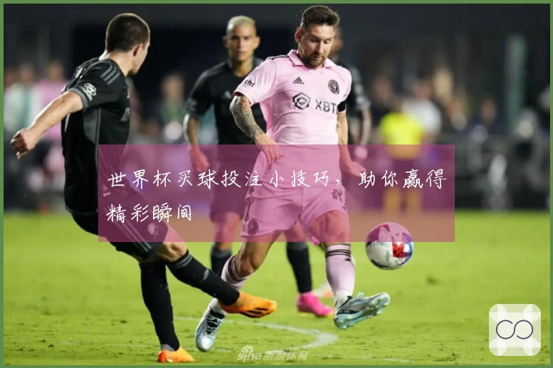 世界杯买球投注小技巧，助你赢得精彩瞬间