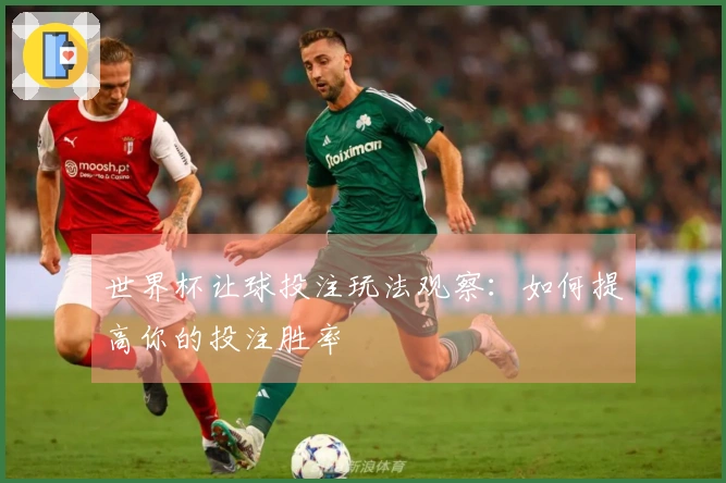 世界杯让球投注玩法观察：如何提高你的投注胜率