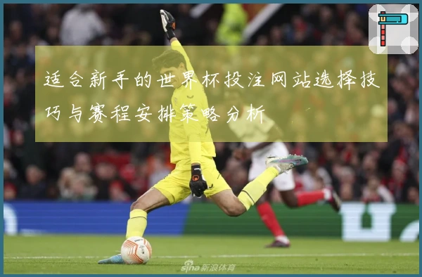 适合新手的世界杯投注网站选择技巧与赛程安排策略分析