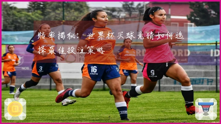 赔率揭秘：世界杯买球竞猜如何选择最佳投注策略