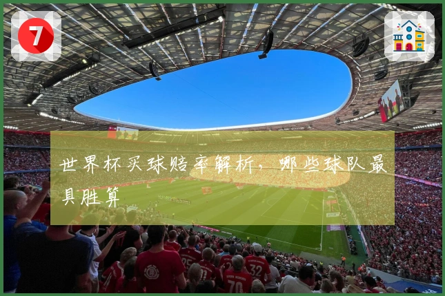 世界杯买球赔率解析，哪些球队最具胜算