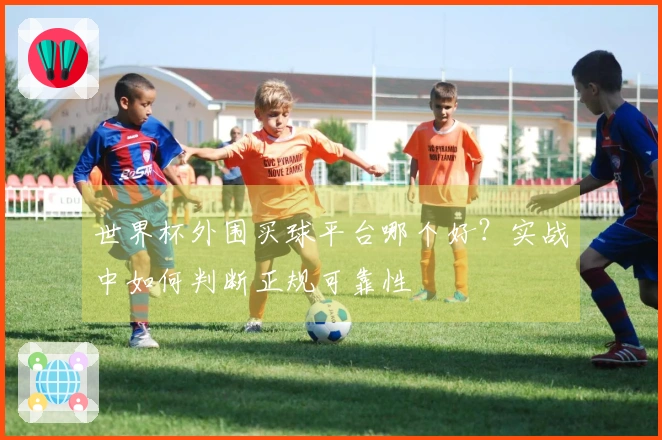 世界杯外围买球平台哪个好？实战中如何判断正规可靠性