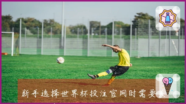 新手选择世界杯投注官网时需要关注哪些常见问题和误区