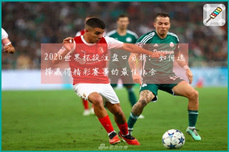 2026世界杯投注盘口分析：如何选择赢得精彩赛事的最佳机会