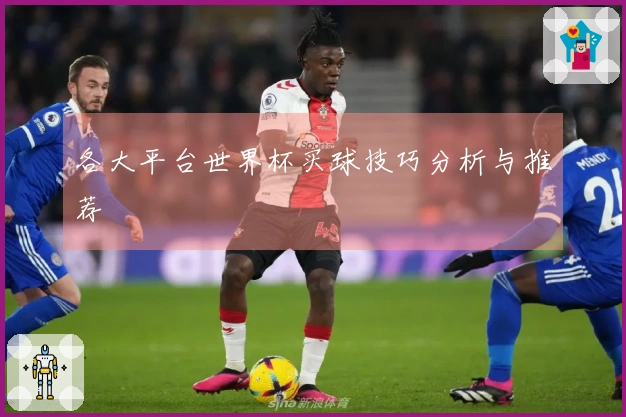 各大平台世界杯买球技巧分析与推荐