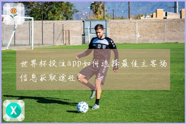 世界杯投注app如何选择最佳主客场信息获取途径？