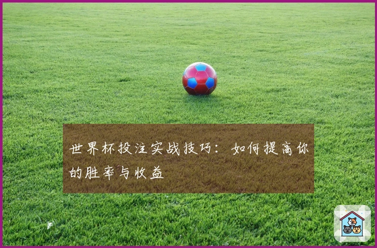 世界杯投注实战技巧：如何提高你的胜率与收益
